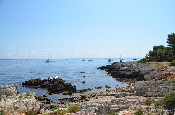 Littoral northeast of Saint Honorat island