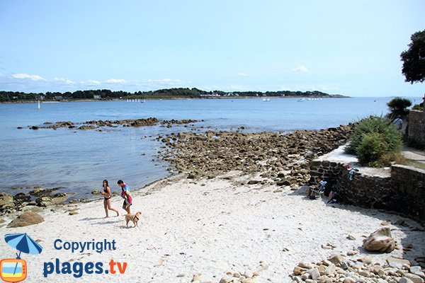 Baignade sur la plage de la Vanneresse - La Trinité sur Mer