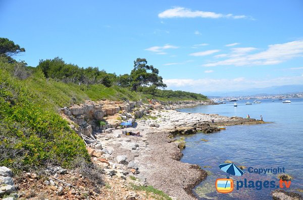 Crique du Vengeur sur l'ile de Sainte Marguerite