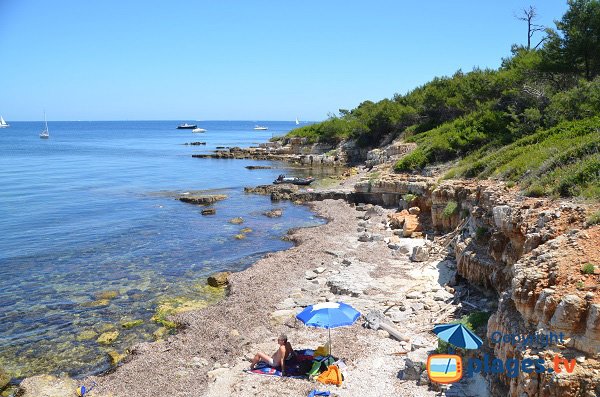 Plage au niveau de la pointe du Vengeur sur l'ile de Lérins