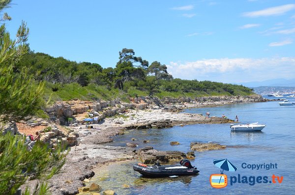 Photo of Vengeur cove - Ste Marguerite island - Lérins