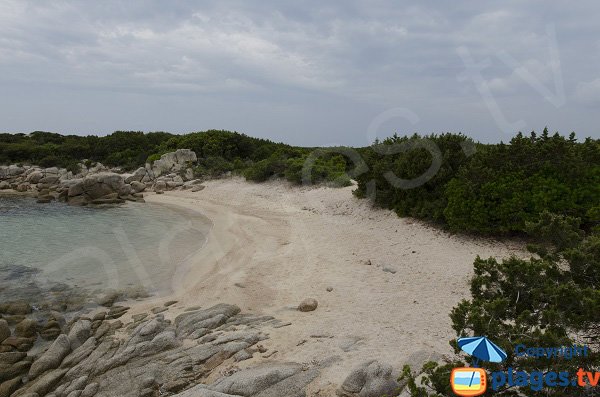 Criques confidentielles golfe de Ventilegne - Corse