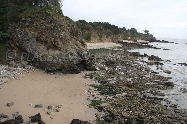 Photo of Chémoulin cove in Saint Marc sur Mer - St-Nazaire