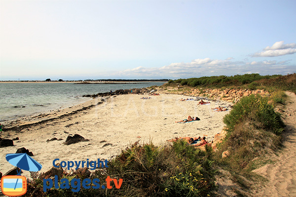 Crique sauvage à Carnac - Colomban