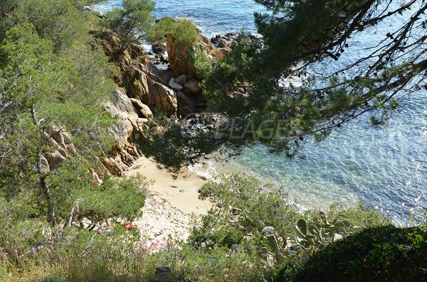 Crique facilement accessible pour les naturistes au Lavandou