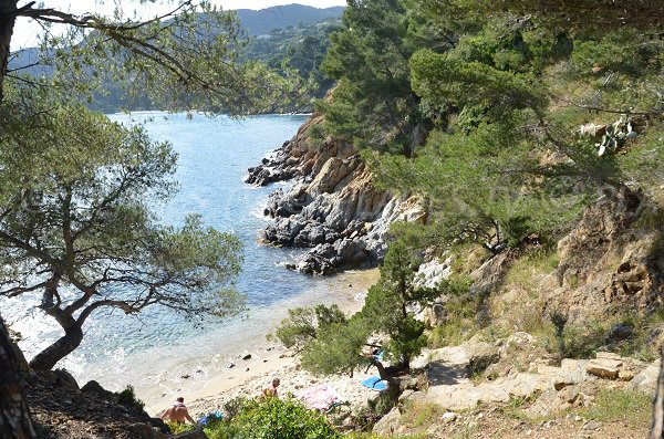 Nudist creek - Layet in Lavandou