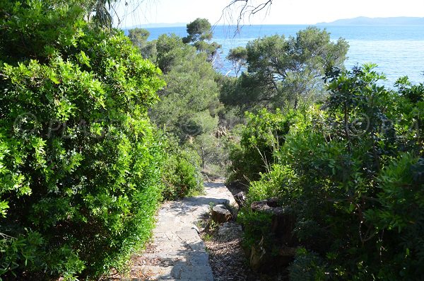 Access to the Layet creek in Lavandou