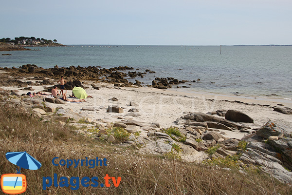 Récifs sur une crique de Carnac