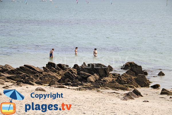 Baignade sur la pointe de St Colomban - Carnac