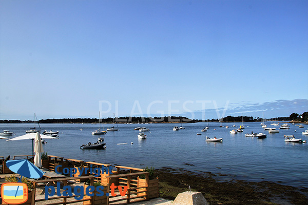 Dégustations d'huitres dans le golfe du Morbihan