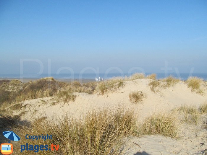 Dune blanche de Bray-Dunes