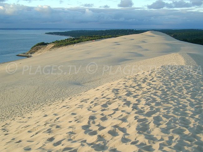 Bay of Arcachon from the dune of Pilat