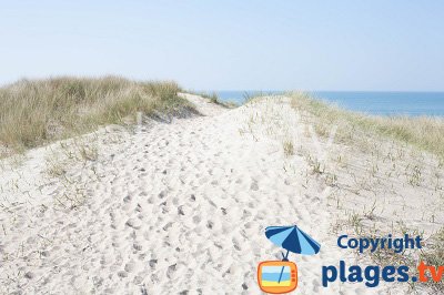 Dune and beach in Saint Germain sur Ay - Normandy