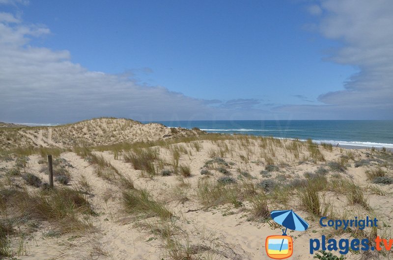 Dunes et immense plage de sable côté Atlantique