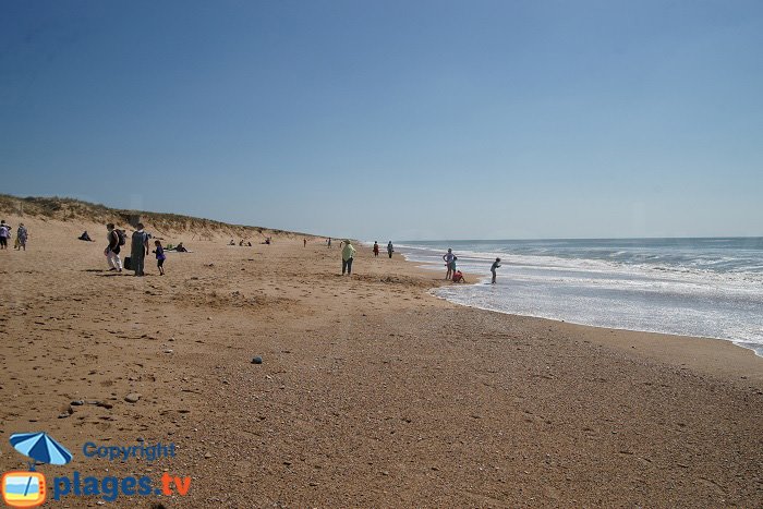 Dunes sur la plage de Brétignolles
