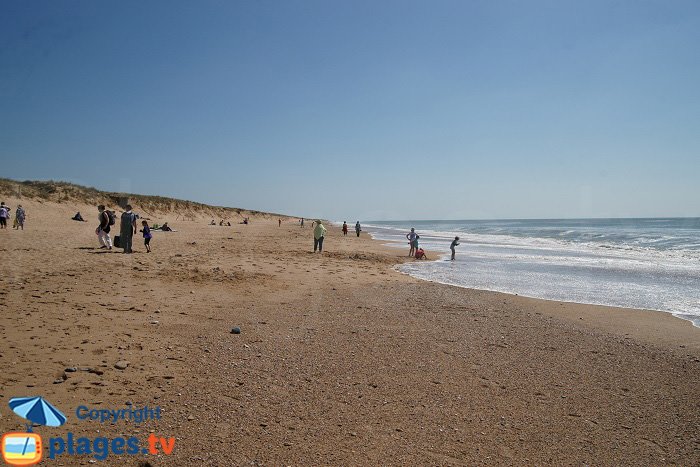 Dunes of Brétignolles beach in France