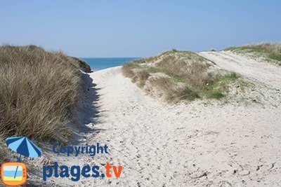 Dunes de Bretteville sur Ay dans la Manche