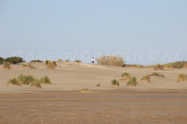 Dunes dell'Espiguette - Francia