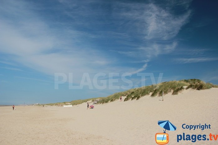 Dunes du Perroquet entre Bray-Dunes et la Belgique