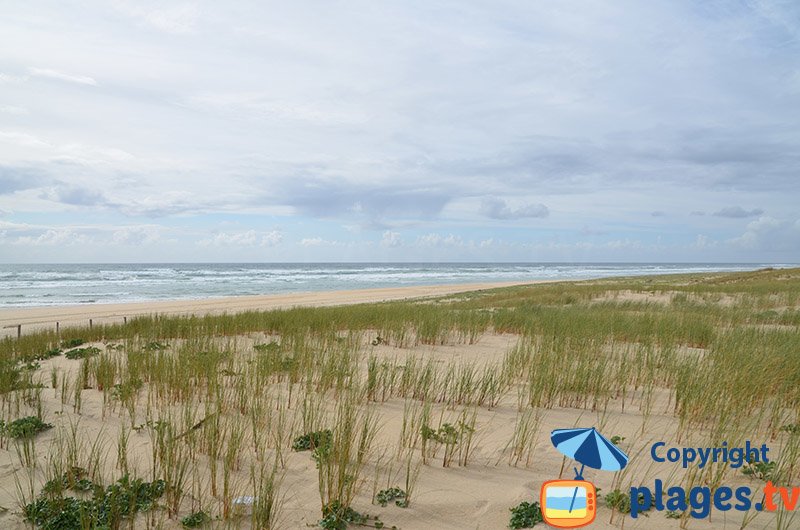 Cap Ferret avec ses dunes et une plage océane