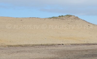 Dunes de Vensac en Gironde