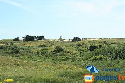 Dunes of Saint Hilaire de Riez in France