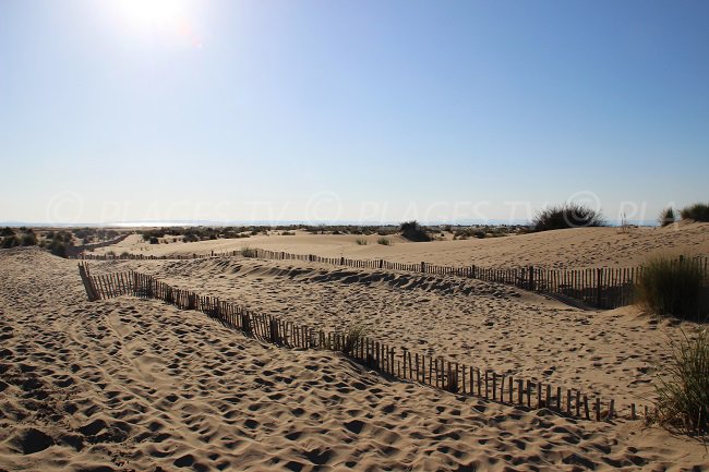 Espiguette en Camargue