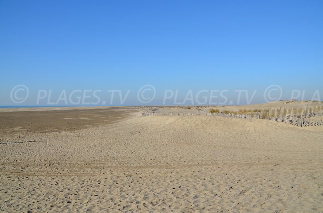 L'espiguette: une vaste plage de sable en Camargue