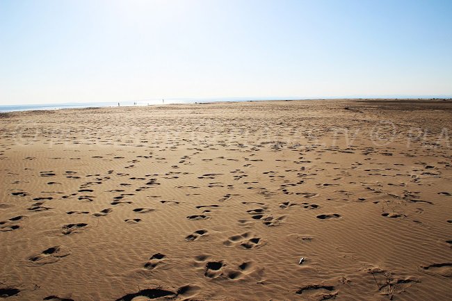 Désert de l'Espiguette à Port Camargue