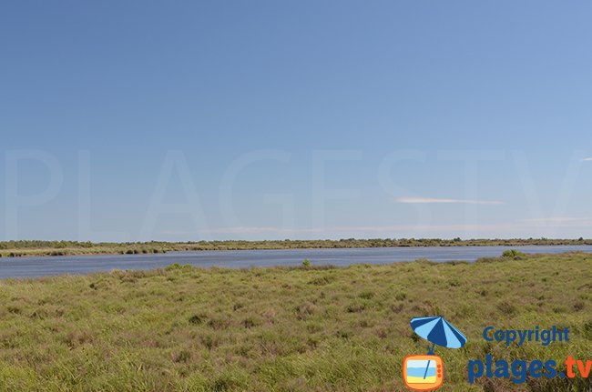 Teich um Salin de Giraud - Camargue