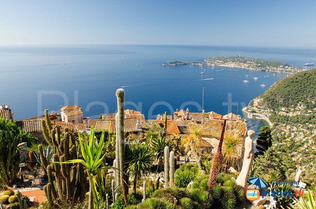 Eze et son jardin exotique