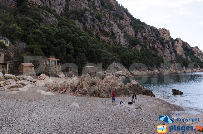 La calanque di Ficajola, l'unica calanca accessible a piedi da Piana