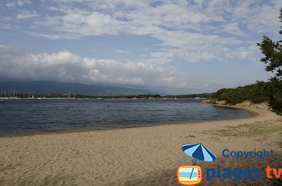 Plage dans la baie de Figari - Corse