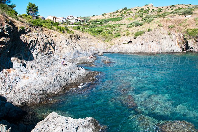 I magnifici fondali marini della baia Mauresque a Port Vendrès