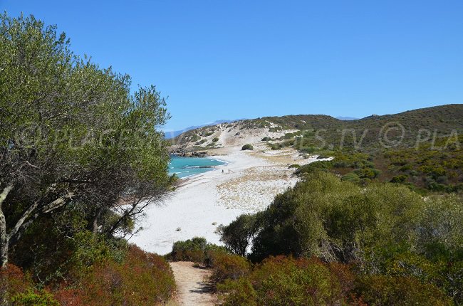 Ghignu beach from the mats