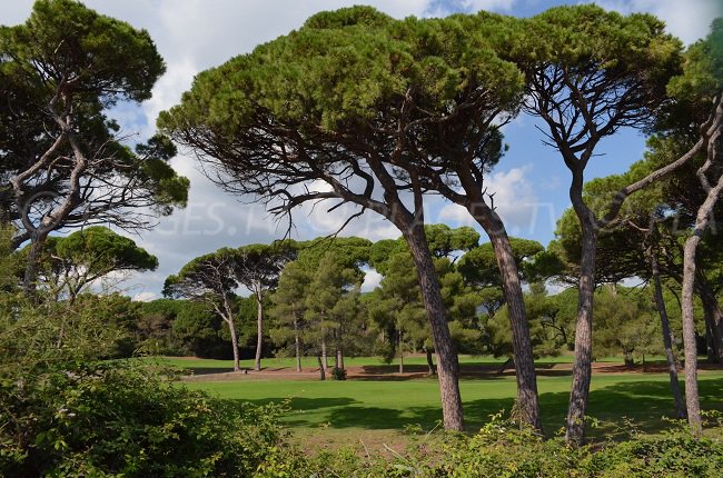 Golf en Front de Mer de Mandelieu la Napoule