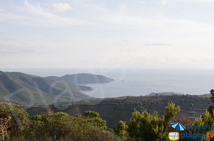 Gulf of Arone in Corsica