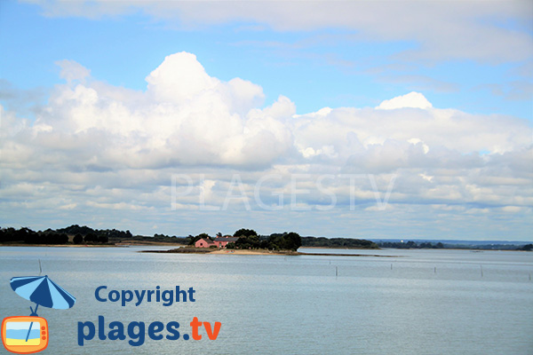 Amer dans le golfe du Morbihan