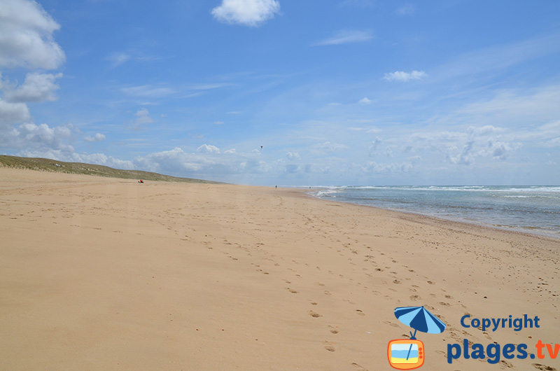 Grand Crohot au Cap Ferret