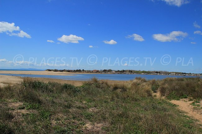 Bord de mer sauvage de Portiragnes