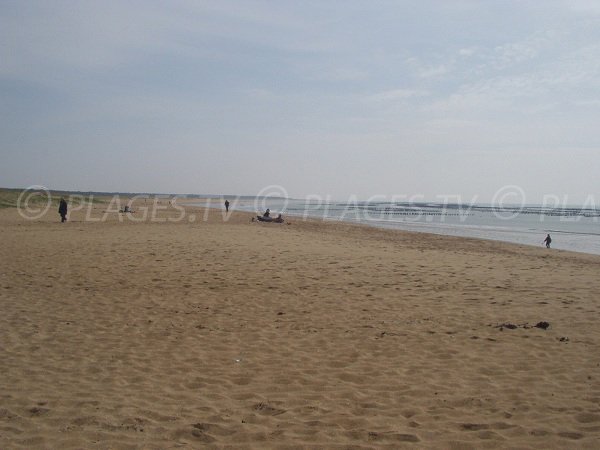 Grand Plage de La Faute sur Mer en direction de la Pointe d'Arçay