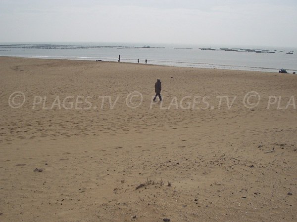 Free beach in La Faute sur Mer near city centre