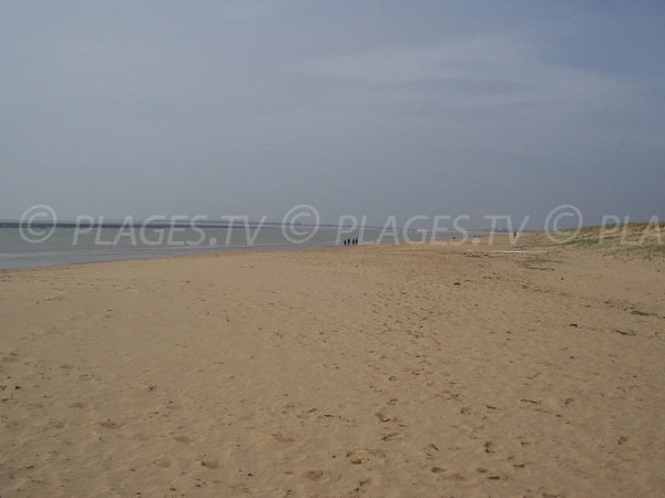 Grand Plage de La Faute sur Mer en Vendée