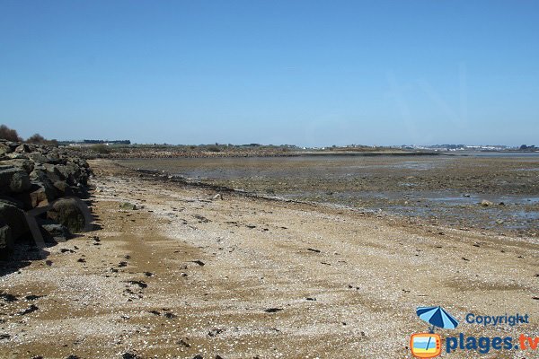 Plage de sable - Grève de Carantec