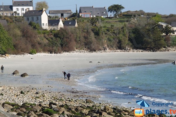 Great beach of Roscoff in France