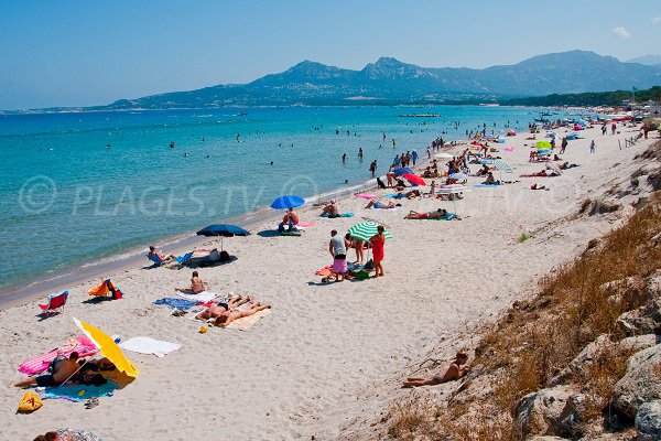 Plage dans le golfe de Calvi