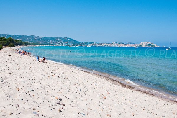 Plage de sable calme à Calvi - Corse