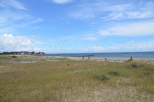 Dunes of Carnac beach - France