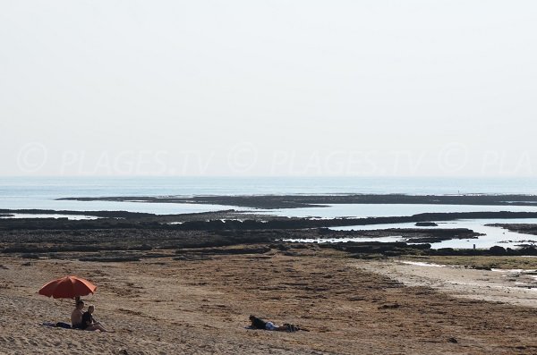 Rochers dans l'eau sur la grande plage du Domino