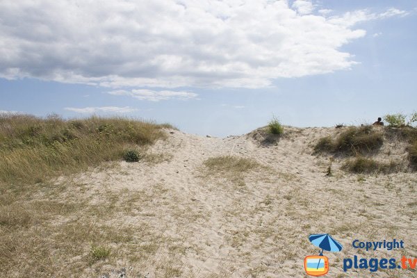 Dunes de la presqu'ile de Gavres